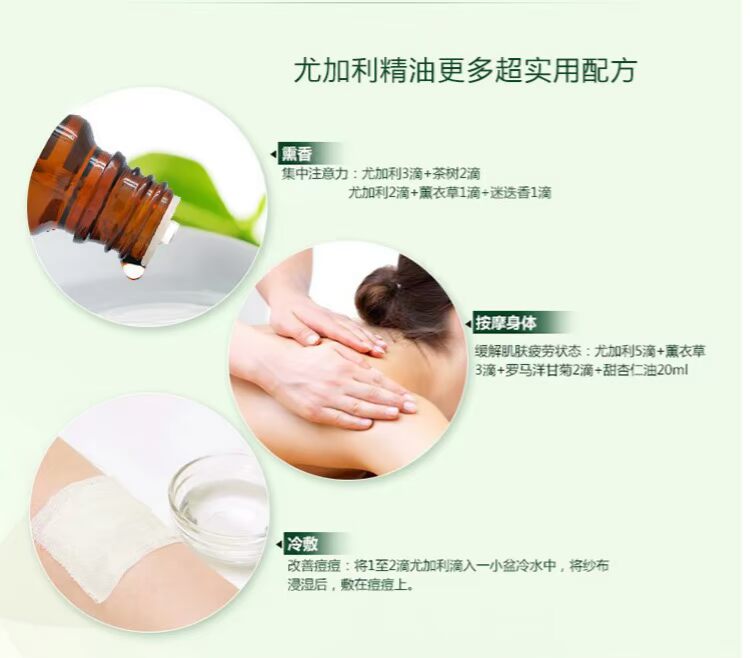 Tinh dầu khuynh diệp Úc 10ml hương liệu nguyên chất khuynh diệp chính hãng đẩy lùi tinh dầu mát xa cơ thể đơn phương - Tinh dầu điều trị tinh dầu tràm cho trẻ sơ sinh