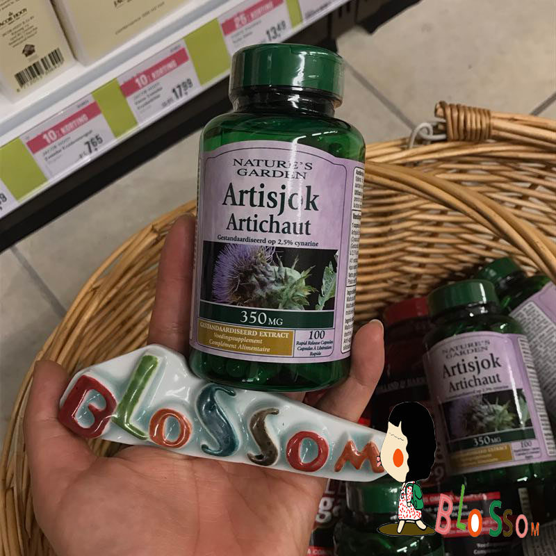 Blossoming and Flowering) Artichoke Capsules Drop Three Pressures in Holland HB Holland Garden Store