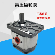 Hydraulic oil pump high pressure gear pump large flow CBN-F304 306 F310 F314 F316 F320 325