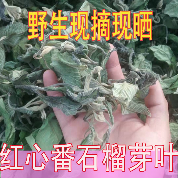 Wild Red Heart Guava Leaf Buds Tea, Guava Leaves, Guava Leaves 500g, Sugar-Free, 0.5kg Packs, 