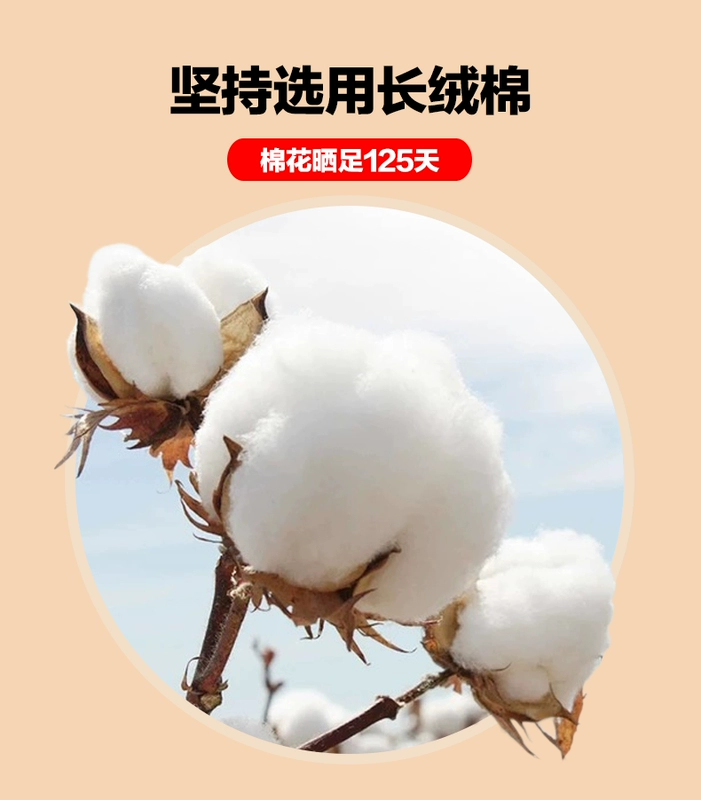 Hong Ni đồ lót nữ Qiuyi Qiuku phù hợp với cotton mỏng phần trung niên cotton ấm áp quần áo cao cổ áo len cotton
