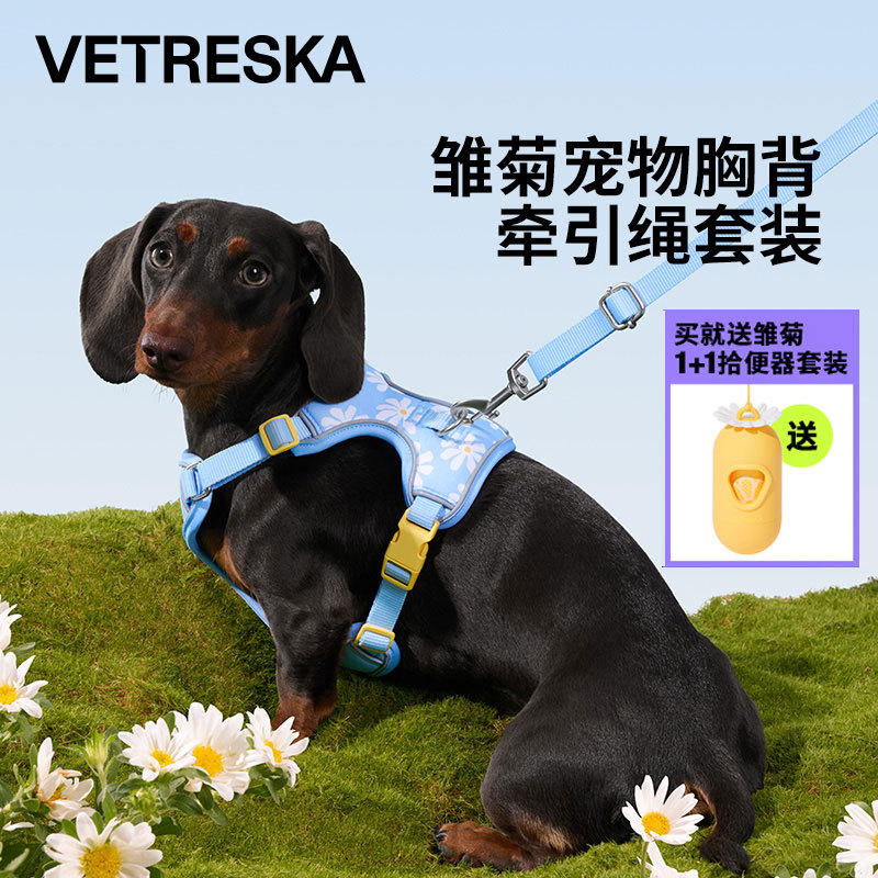 Weika Daisy Pet Dog Harness and Leash Set, I-Shaped Harness for Large, Medium, and Small Dogs, Dog Walking Leash