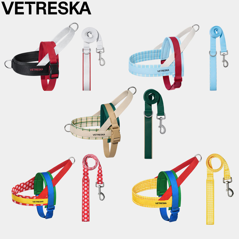 Chroma Pet Harness and Leash Set Misty Quiet Track Leash Dog Walking Leash Harness