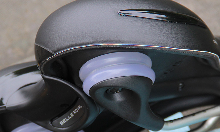 Selle de vélo Mountain Bike SELLE ROYAL - Ref 2359835 Image 29