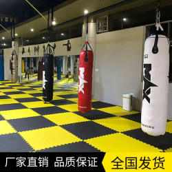 Fighting Sandbag For Home Hanging Thai Boxing Sanda Professional Training Sandbag Adult Boxing Gym Gym Equipment