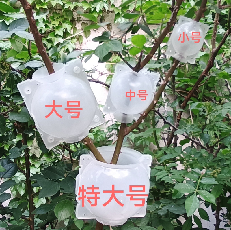 High-Pressure Garden Plant Rooting Box for Fruit Tree Ring Stripping, High-Altitude Pressure Grafting Box for Cuttings and Tree Rooting Soil