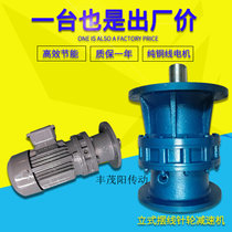 Vertical cycloid pin wheel reducer with pure copper motor Changzhou factory direct BLD XLD complete model