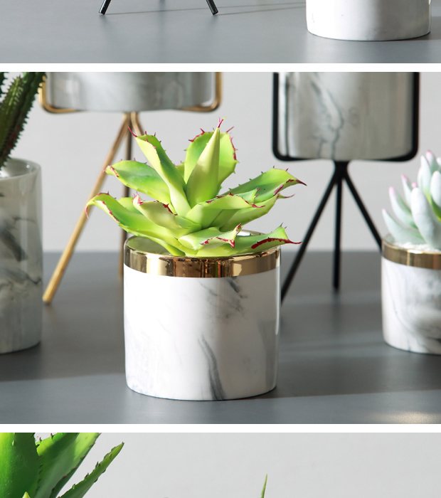 Succulents mực Bắc Âu thời trang phong cách đá cẩm thạch mô phỏng chậu trang trí nội thất ins đồ trang trí máy tính để bàn - Trang trí nội thất các đồ trang trí nhà bếp
