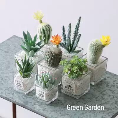 Fake cactus Nordic green plant desktop simulation fleshy potted ornaments Living room window interior decoration flowers small fresh