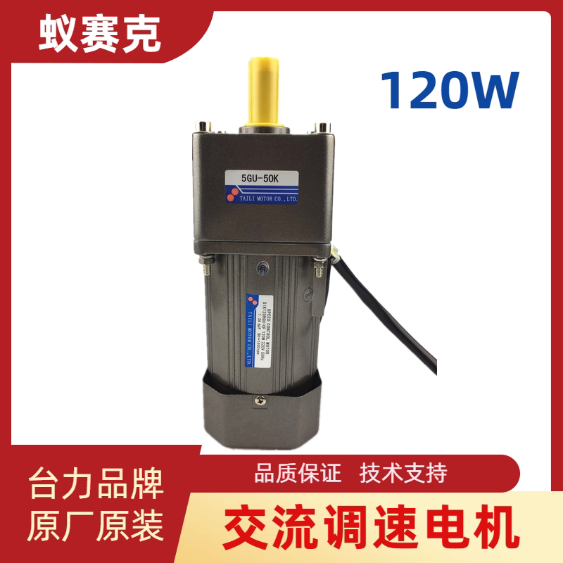 TAILI TAILI TILI TILI TILI TILI TRANE TRANSMAGE GARE GARE motor motor with 120W speed regulating motor motor motor with 220V