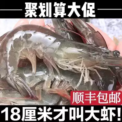 Frozen shrimp box 4kg Qingdao prawns super large sea shrimp fresh frozen base shrimp white shrimp shrimp fresh sea catch Sea