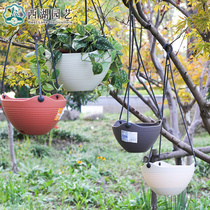Second kill Alice flowerpot plastic hanging bowl hanging pot chlorophyte green Diola Ivy succulent plant hanging with Hook