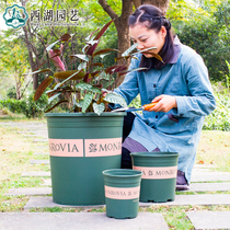 Universal plastic flower basin large creative round balcony potted simple gallon pot green plant flower meat