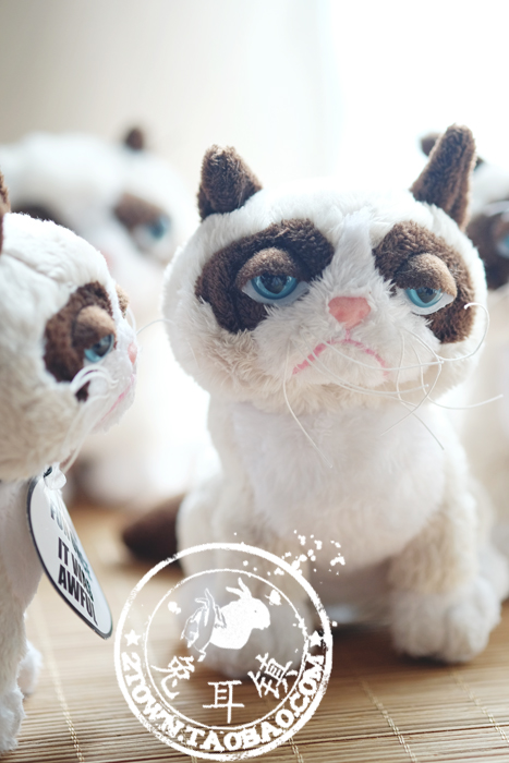 Peluche manga grumpy cat - Ref 2696050 Image 51