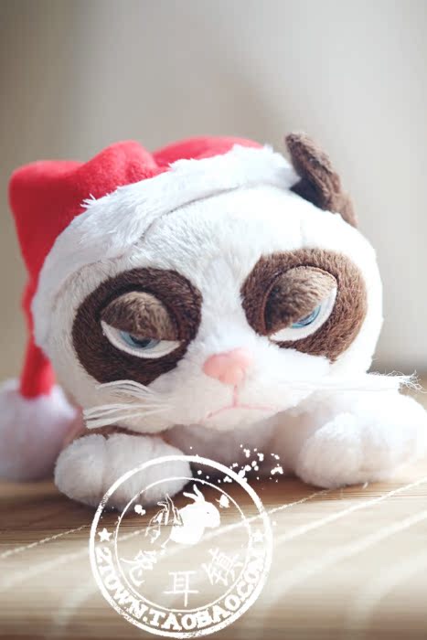 Peluche manga grumpy cat - Ref 2696050 Image 45