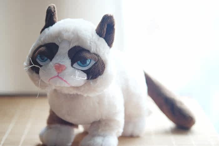 Peluche manga grumpy cat - Ref 2696050 Image 43