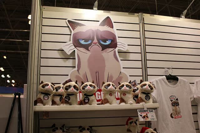 Peluche manga grumpy cat - Ref 2696050 Image 24