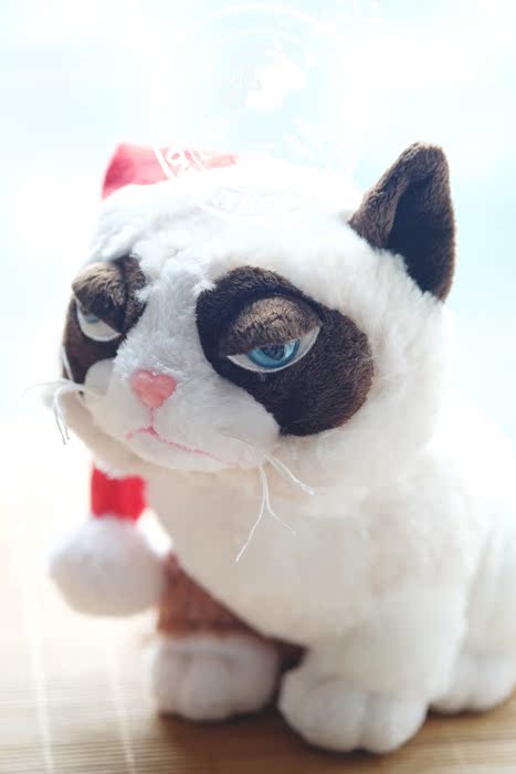 Peluche manga grumpy cat - Ref 2696050 Image 38