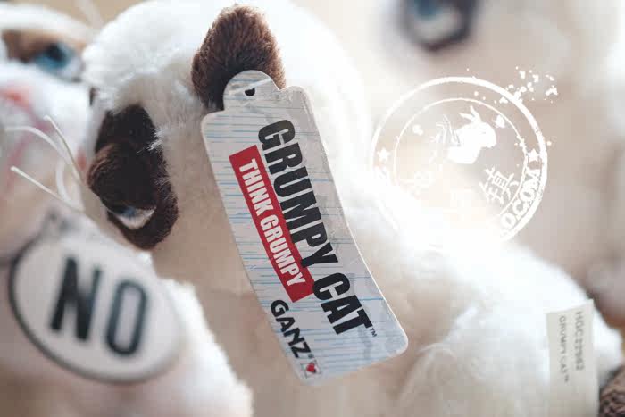 Peluche manga grumpy cat - Ref 2696050 Image 56