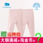 Li Ying phòng quần áo trẻ em đích thực đồ lót sơ sinh 2 nam nữ tải trẻ em cotton xuân 2018 mới - Quần áo lót shop đồ bộ trẻ em cao cấp