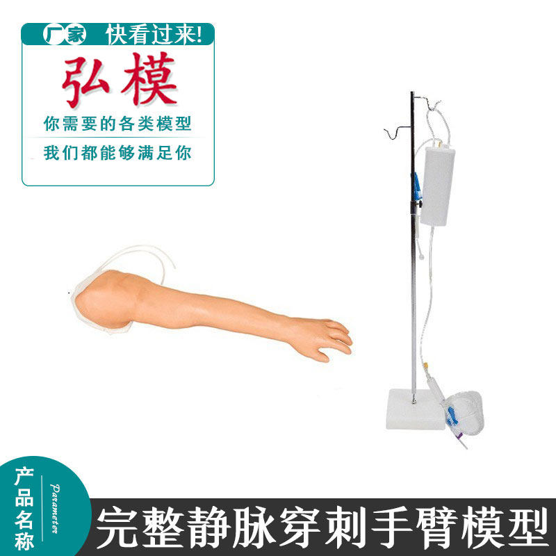 完整静脉穿刺手臂模型 肌内注射及皮内注射长手臂教具肌肉注射