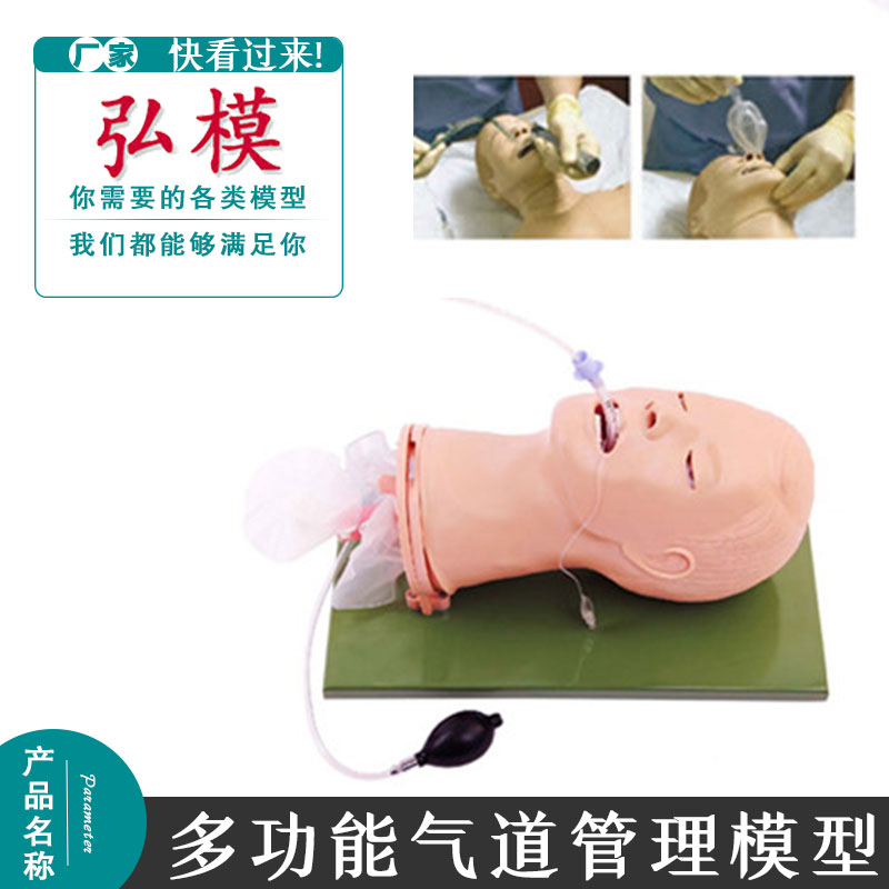 正品高级多功能气道管理模型 操作练习Sellick手法和气道痉挛