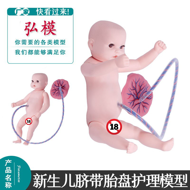 弘模新生儿脐带胎盘护理模型 妇产科训练模拟人 小孩模具 人体假