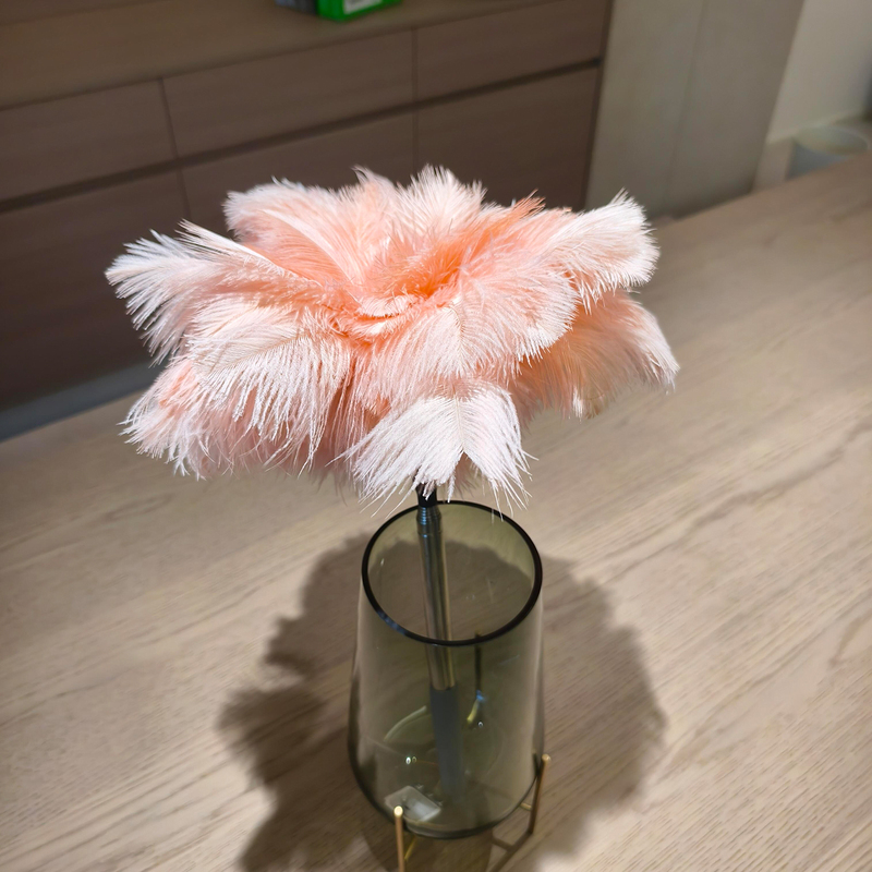 Ostrich Feather Duster, Dust Removal Duster, Electrostatic Adsorption Dust Removal, Household High-Quality Cleaning, Telescopic Feather Duster