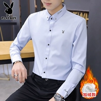 6035 синий [Plove]