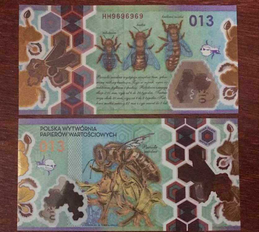 Brand new UNC Poland printing money factory 013 Bee paper-based plastic commemorative vouchers scarce version