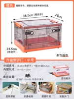 Камелия [Средний оранж]]