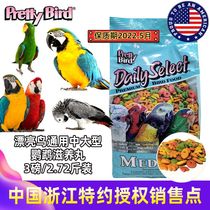 Beautiful bird medium large parrot feed food Diamond sunflower eclectic gray parrot grain bird grain