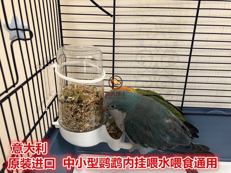 IMAC Small Parrot Supplies Tiger Leather Peony Xuanfeng Automatic feeding water feeding machine with built-in feeder food box anti-sprinkling