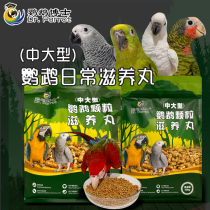 PhD Grey Parrot Feed Diamond Eclectic Amazon Bird Grain Sunflower Parrot Feed Nutritional Granules Nourishing Pellets