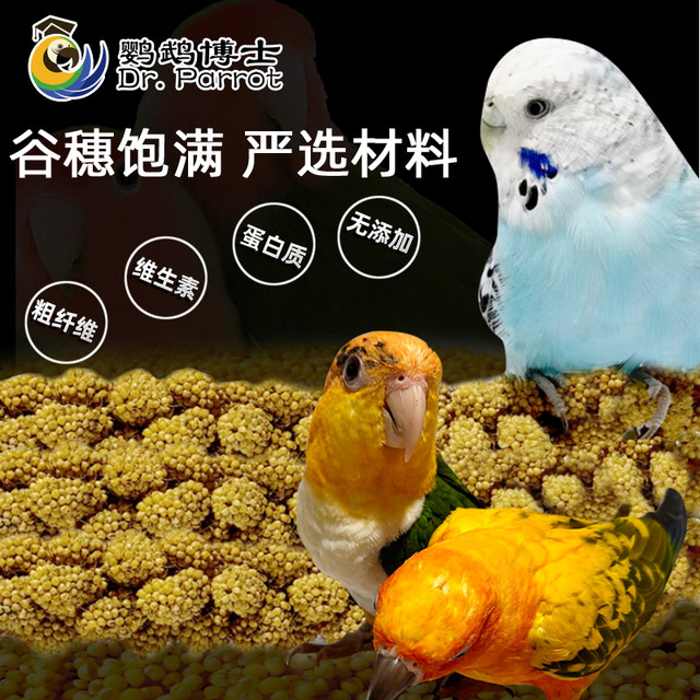 Grain ear millet ear millet ear parrot grain natural wheat ear bird food feed tiger skin Xuanfeng peony chewing toy