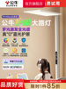 Bull Yang Mi's same style small clear sky eye protection lamp floor lamp full spectrum learning vertical table lamp street lamp