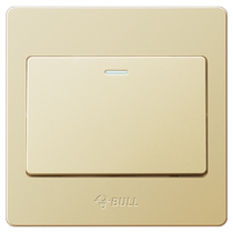 Bull switch single open double control switch 1 open one open double control switch one position one joint dual control panel G07 gold