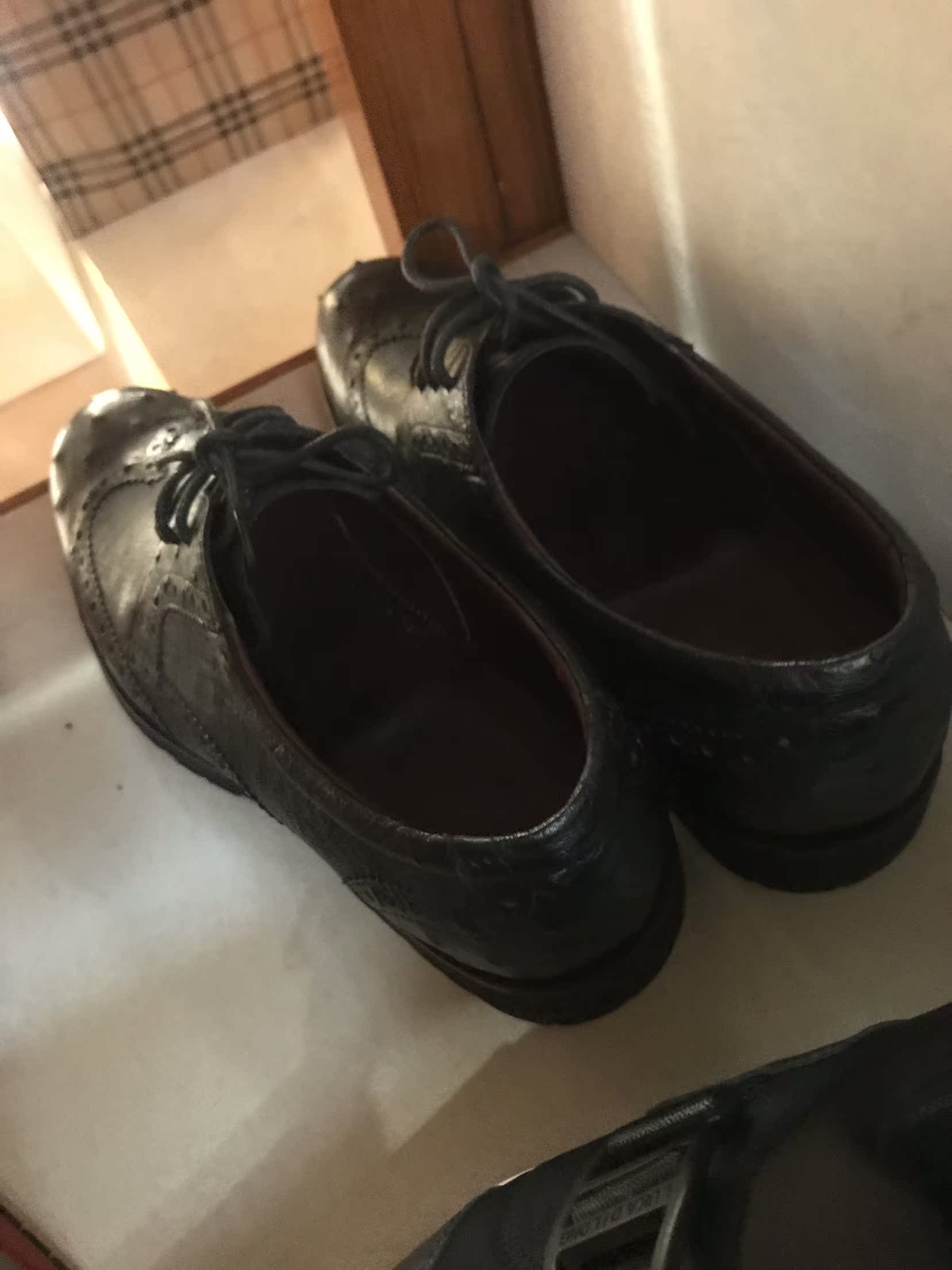 Lukadilon Lukadilong men's shoes No. 17617013 Ostrich Leather 7680