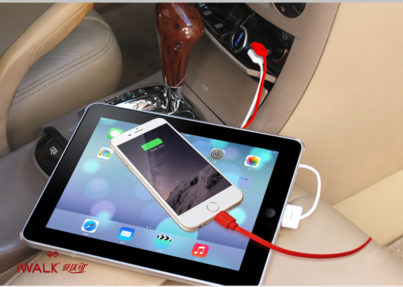 chargeur IWALK 2A - Ref 1299774 Image 18