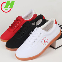 Red Cotton Tai Chi Shoes Beef Tendon Bottom Woman Canvas Spring Summer Martial Arts Shoes Mens Taijiquan Training Kung Fu Shoes Bag