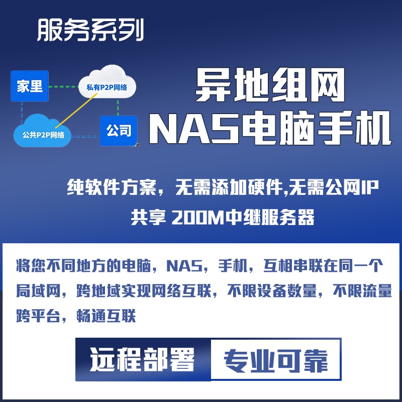 Pure Software-Based Remote Networking Solution, Remote Viewing, Remote Office Work, File Sharing, Virtual Lan, Sd-Wan