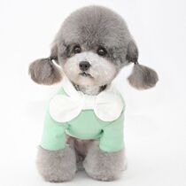 Dogs clothes tennis red teddy cotton clothes Kirky four feet spring and autumn slim fit puppies pet cute autumn and winter clothing