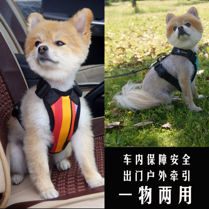Pet small and medium-sized dog car chest and back teddy dog ​​with leash than bear to go out bago method to go out dog rope