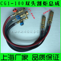 Warwick Universal Flame Cutting Machine Accessories CG1-100 Semi-Automatic Flame Cutting Machine Double Torch Cutting Torch Assembly