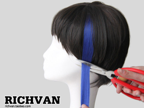 Extension cheveux - Ref 218113 Image 16