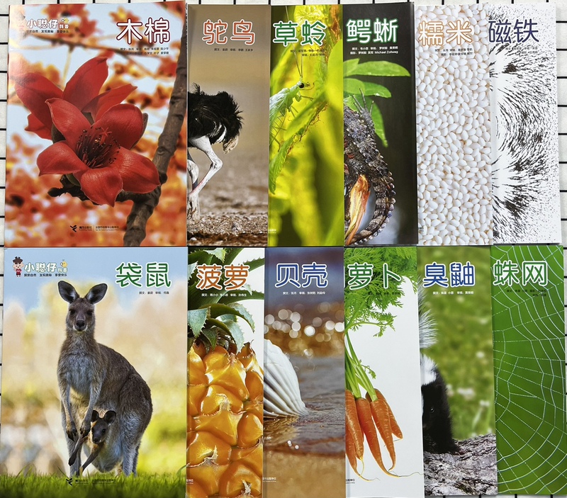 [Year-Round Collection] Xiao Cong Zai Science Popularization Magazine 2022, 2023, 2025 Back Issues, 2026 Subscription for Ages 2-8 Science Enlightenment