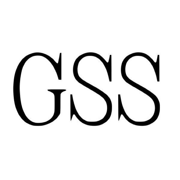 GSS外饰  欧美日品牌原单首饰  批发的LOGO