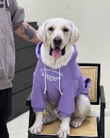 Конфетно-фиолетовый (плюс бархатный)