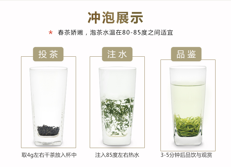 新茶信阳毛尖绿茶500克