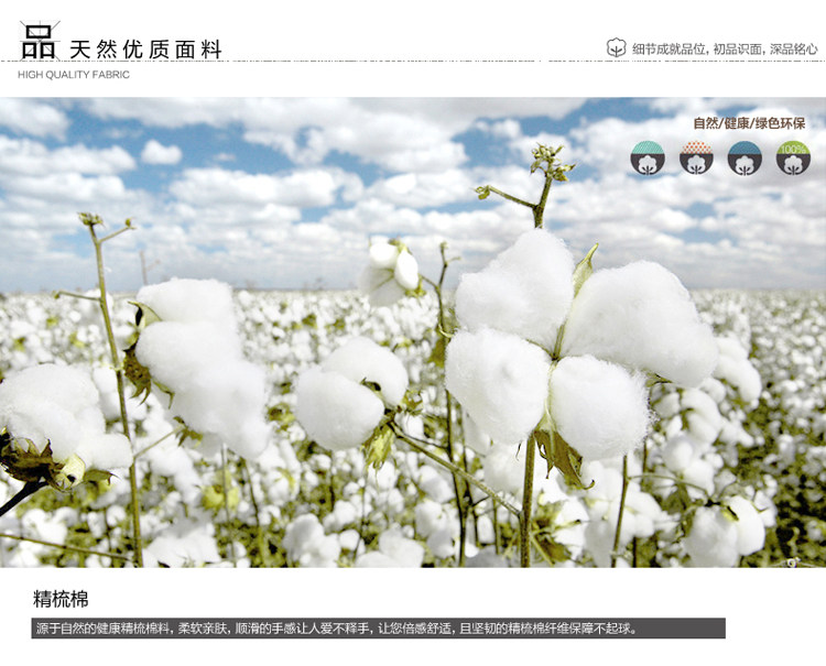 棉.jpg